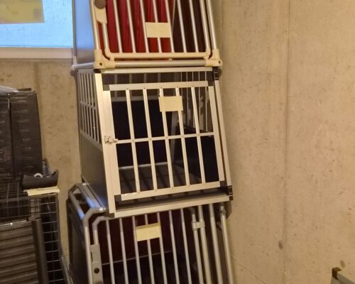 Hundeboxen zum Abgeben