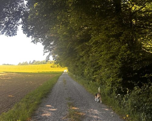 Der Hitze entfliehen