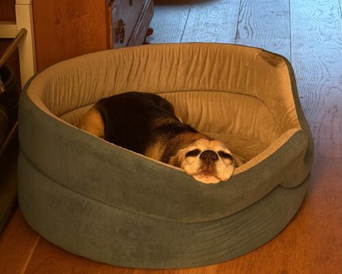 Wunder geschehen….